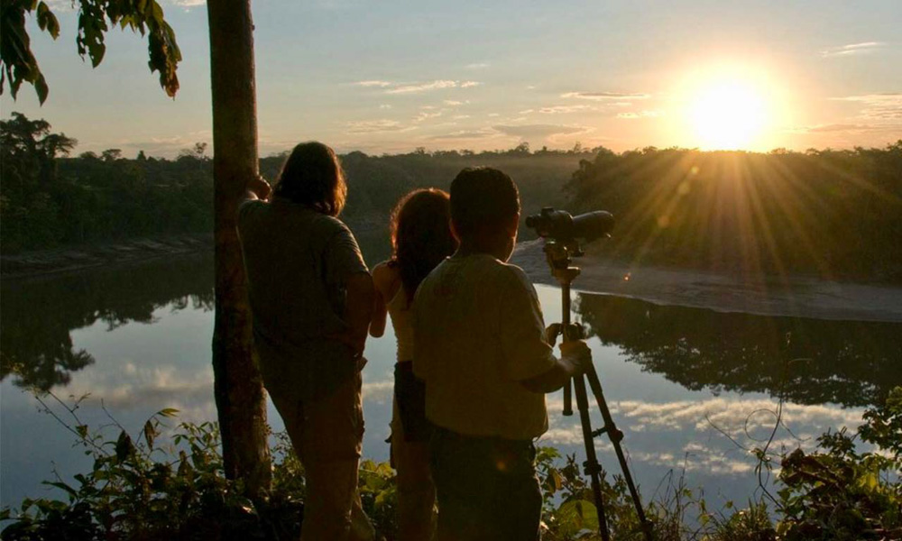 Amazon Rainforest Peru