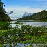 Amazon River Cruise