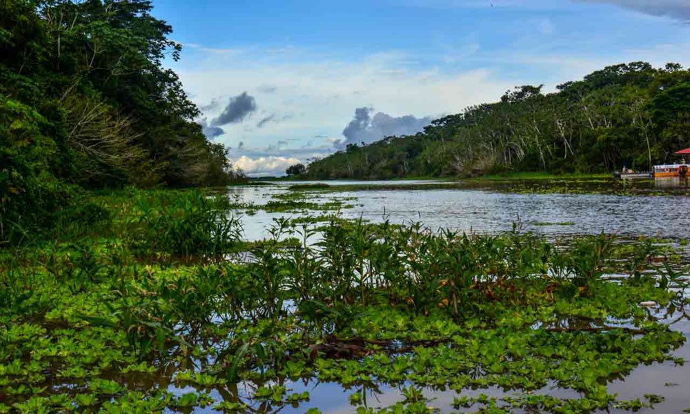 Amazon River Cruise