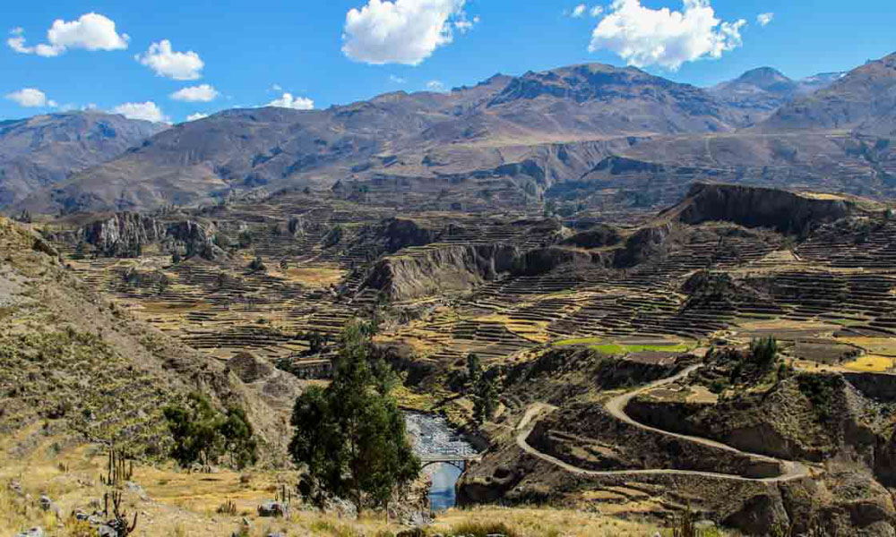 Colca Canyon Tour