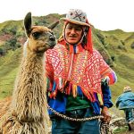 Cusco Hiking with llamas