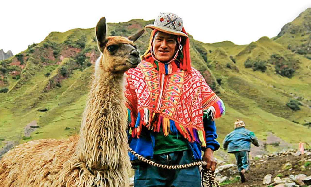 Cusco Hiking with llamas