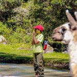 Family trip to peru llama trek