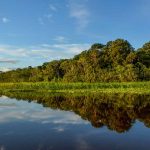 Amazon Tours Iquitos