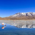 Peru and Bolivia Tour Uyuni Salt flats tour