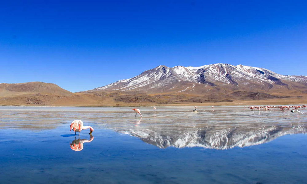 Peru and Bolivia Tour Uyuni Salt flats tour