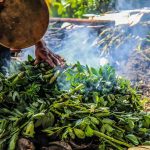 Peru traditional dishes Pachamanca