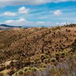 Puya Raimondii Ayacucho peru off the beaten path