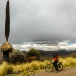 Puya Raimondi e bike peru