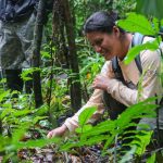 Tambopata National Reserve