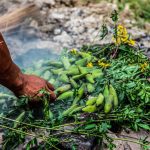 Traditional Peruvian food Pachamanca