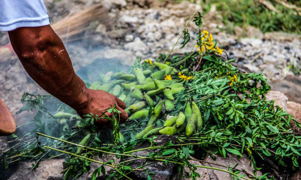 Traditional Peruvian food Pachamanca