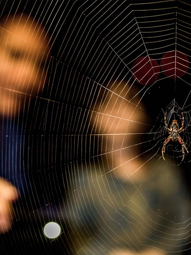 Finding spiders at the amazon lodge, Tambopata